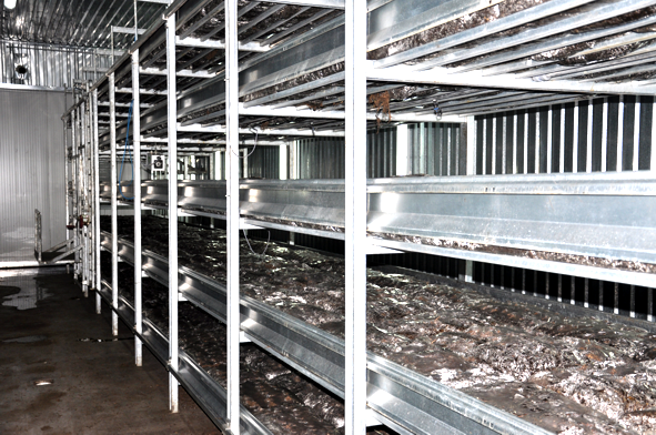 КаМЕРА ВЫРАЩИВАНИЯ ШАМПИНЬОНОВ